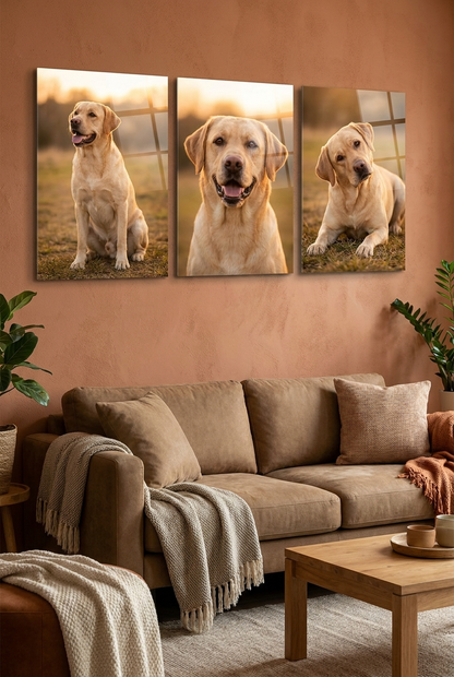 Custom Acrylic Dog Portrait Set – Personalized Pet Wall Art (3-Piece 16"x24")